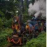 famous toy train of India